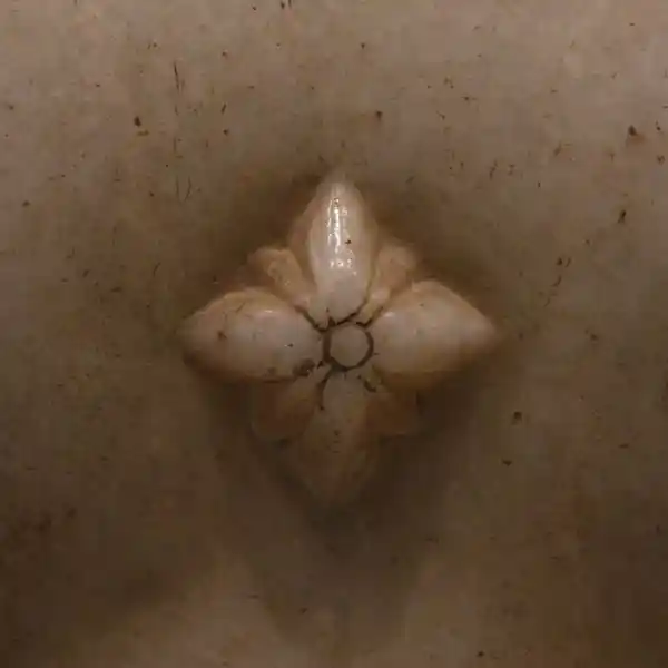 Cross on the chest of Jain Tirthankar